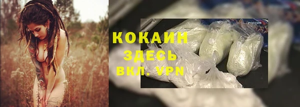 дживик Белоозёрский