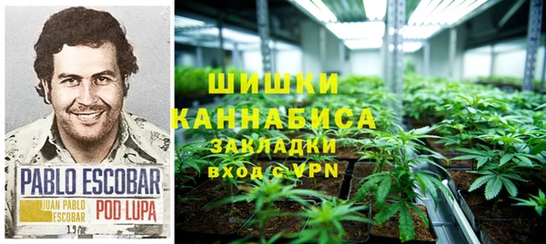 mdma Богородицк