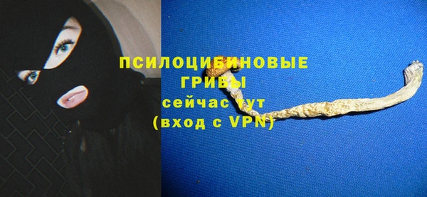 гашиш Богданович