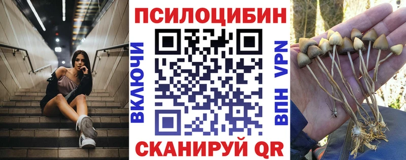 Псилоцибиновые грибы Cubensis Костомукша